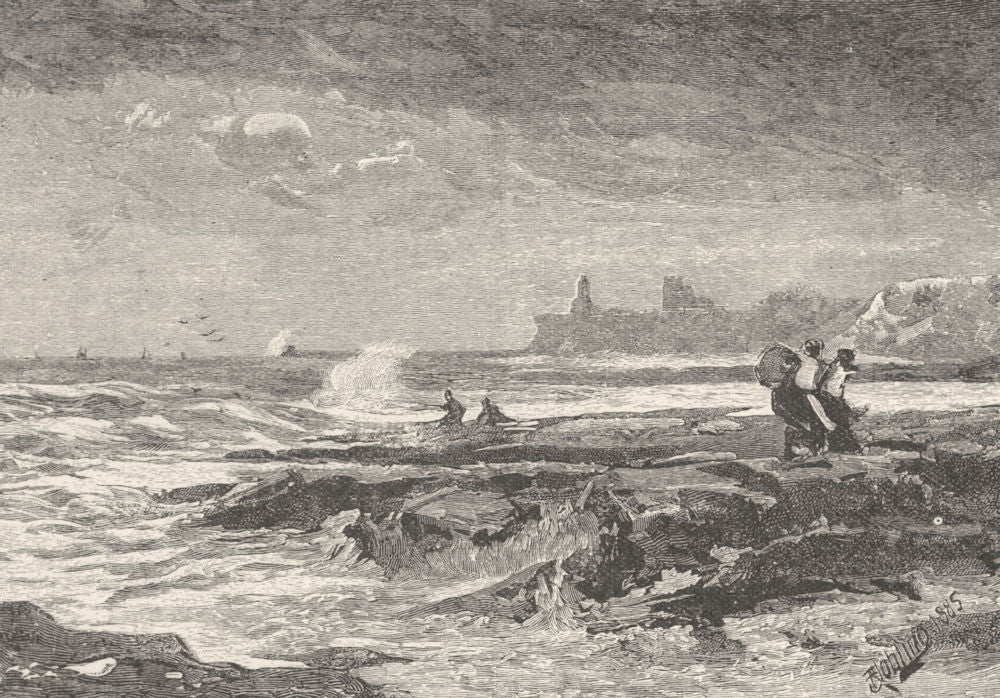 NORTHUMBERLAND. Tynemouth, from Cullercoats 1901 old antique print picture